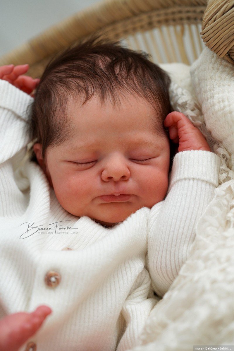 Otto скульптора Joanna Kazmierczak, автор прототипа Bianca Franke (фото 6)