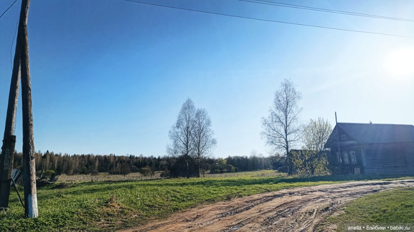 Дик. Хутор — Экшн