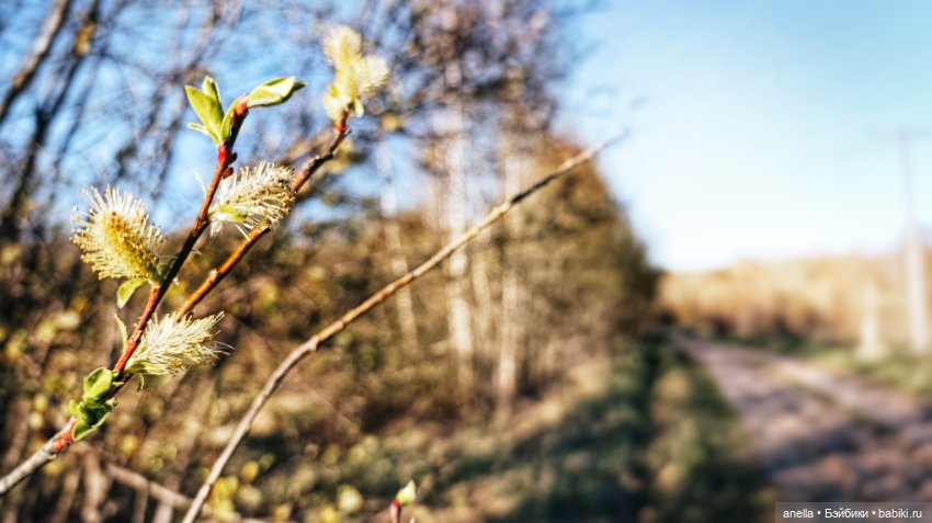 Дик. Хутор — Экшн