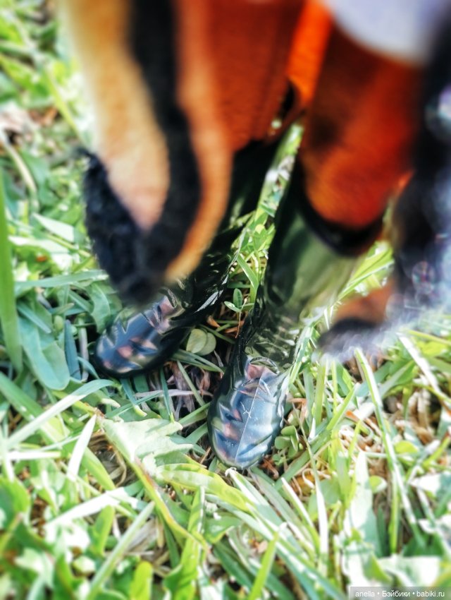 Дик. Хутор — Экшн