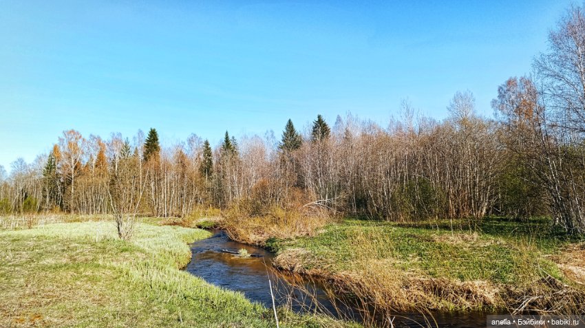 Дик. Хутор — Экшн (фото 2)