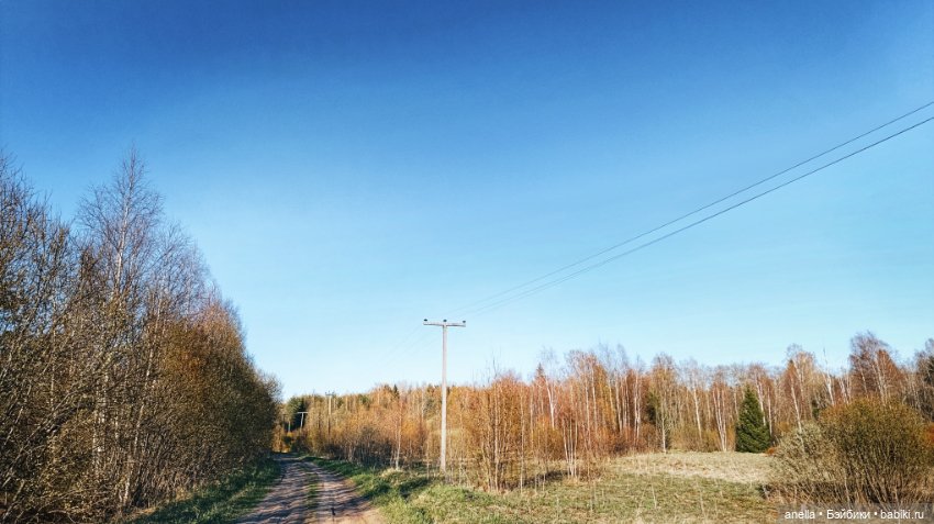 Дик. Хутор — Экшн