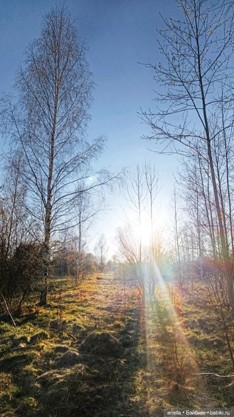 Дик. Хутор — Экшн