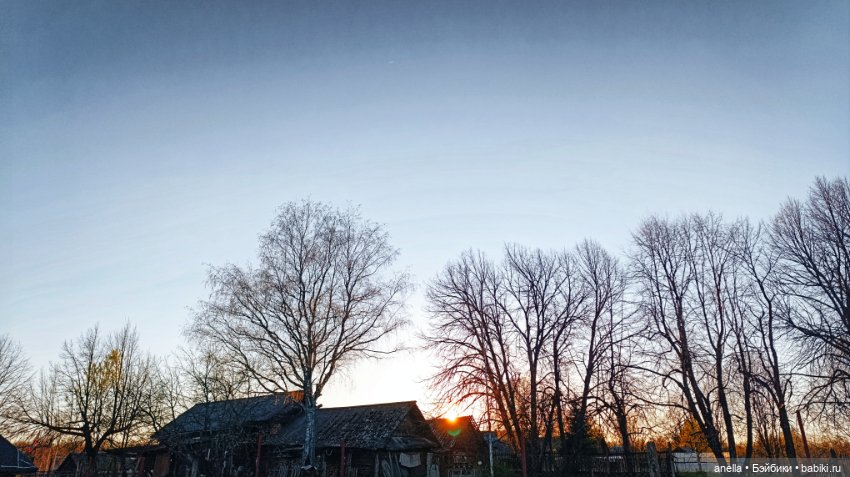 Дик. Хутор — Экшн