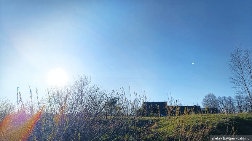 Дик. Хутор — Экшн