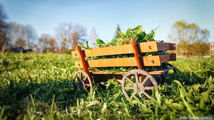 Дик. Хутор — Экшн