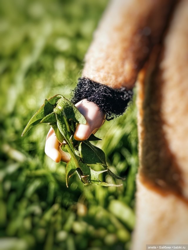 Дик. Хутор — Экшн (фото 4)