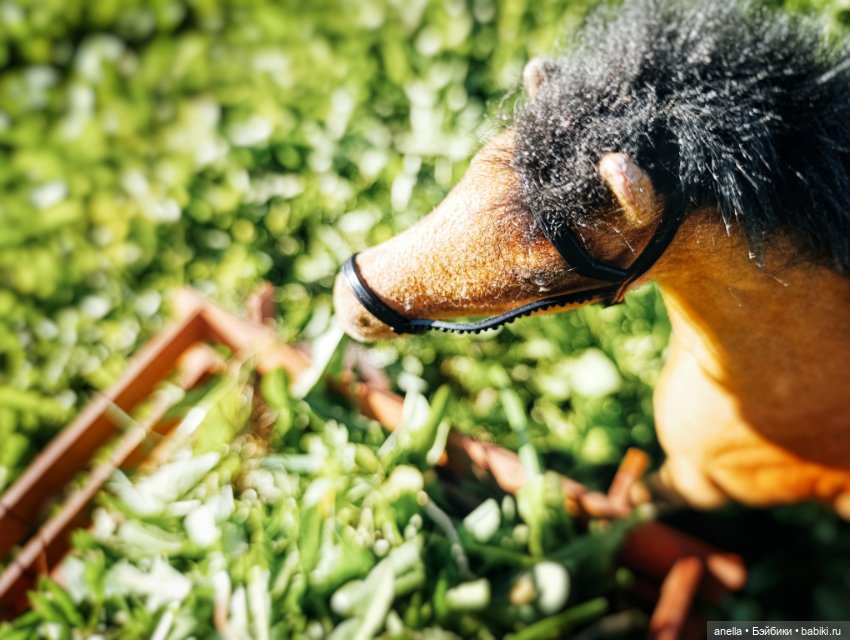 Дик. Хутор — Экшн