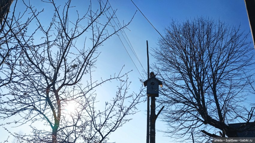 Дик. Хутор — Экшн