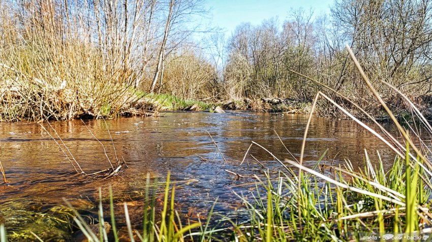 Дик. Хутор — Экшн (фото 10)