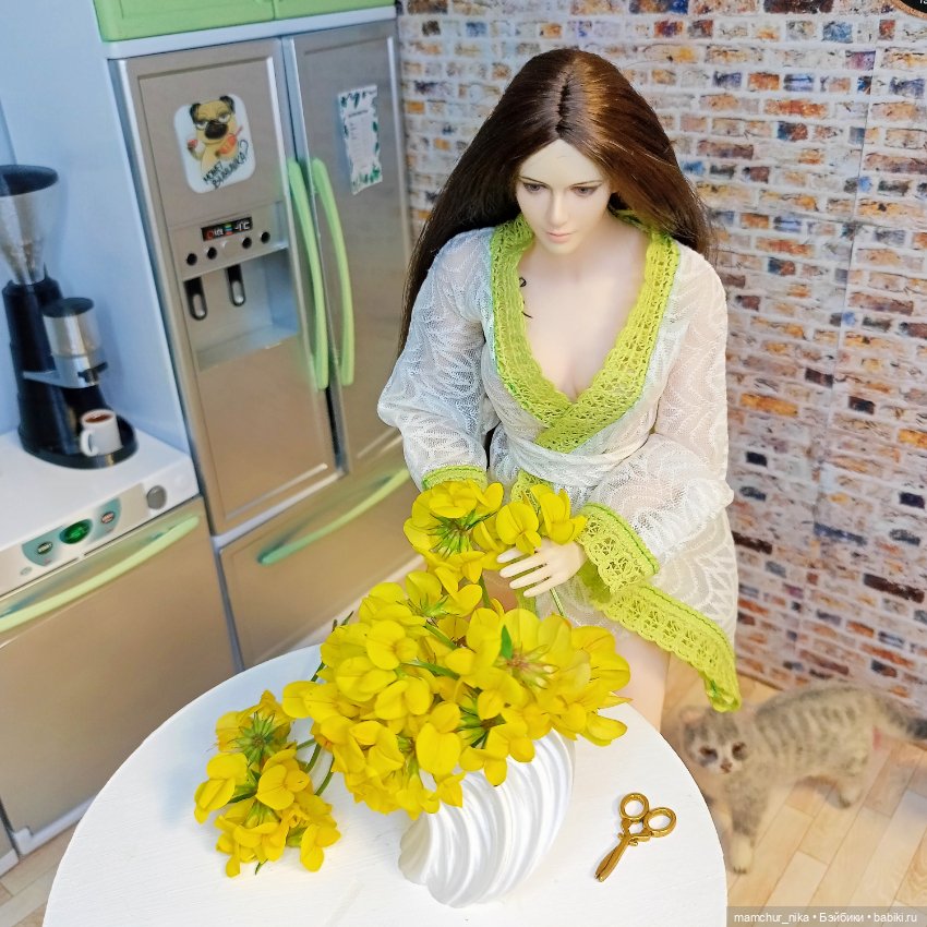 Зарисовки жизни Елены 💛 — Куклы Phicen (TBLeague/Фицен): бесшовные тела