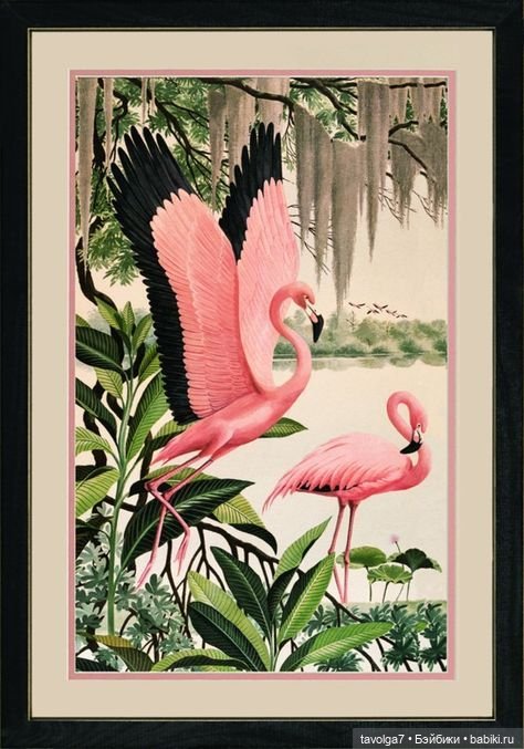 23 июня - День Розового Фламинго (фото 8)