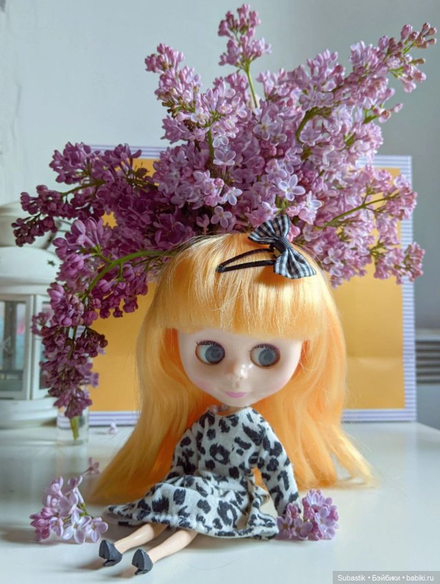 Крошка Блюх) — Куклы Blythe TBL (ТБЛ) и аналоги: Блюх (фото 10)