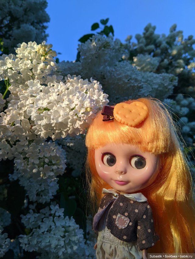 Крошка Блюх) — Куклы Blythe TBL (ТБЛ) и аналоги: Блюх (фото 5)