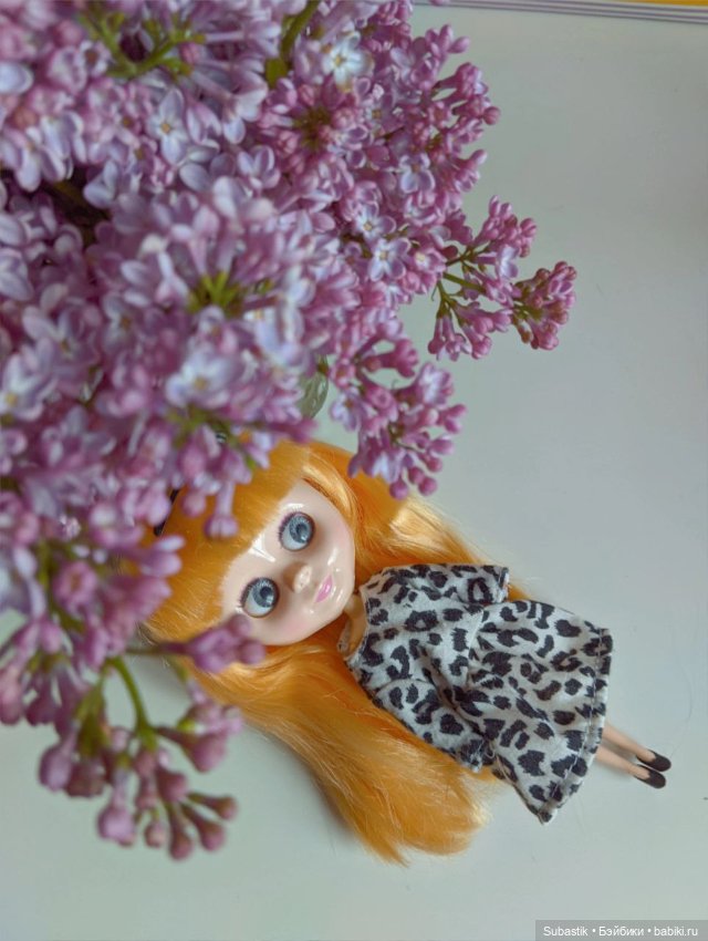 Крошка Блюх) — Куклы Blythe TBL (ТБЛ) и аналоги: Блюх (фото 6)