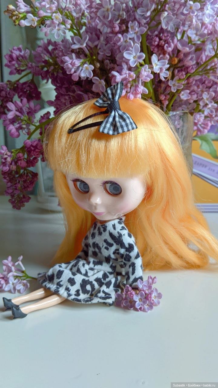 Крошка Блюх) — Куклы Blythe TBL (ТБЛ) и аналоги: Блюх (фото 8)
