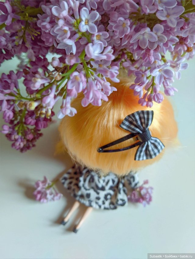 Крошка Блюх) — Куклы Blythe TBL (ТБЛ) и аналоги: Блюх (фото 9)