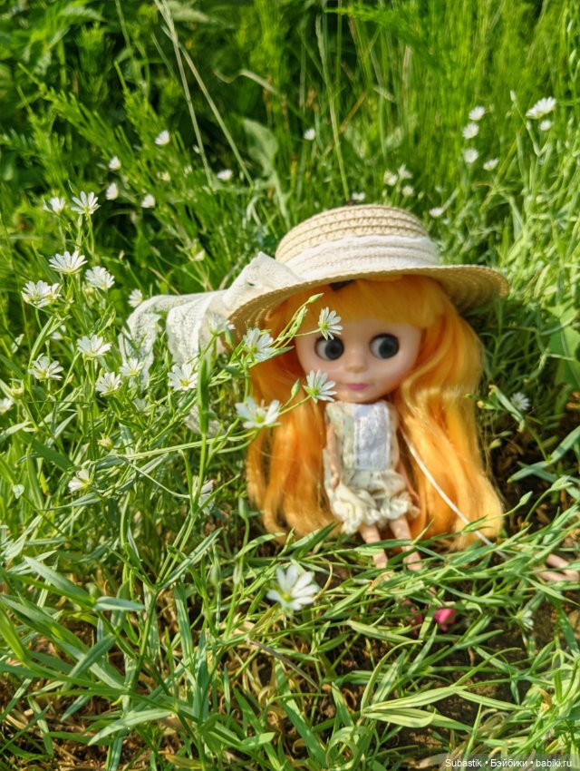 Крошка Блюх) — Куклы Blythe TBL (ТБЛ) и аналоги: Блюх (фото 2)