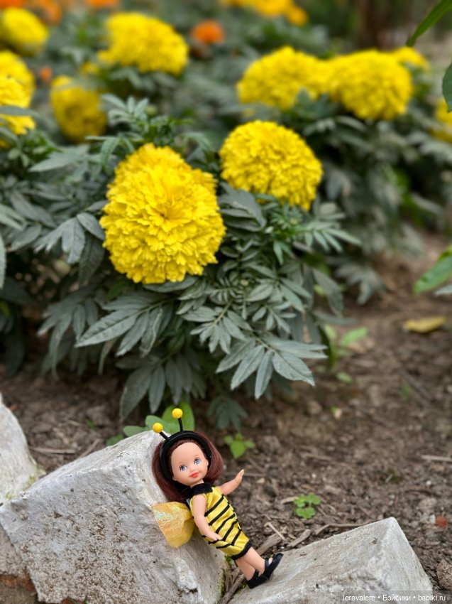 Маленький шмель 🐝 — Куклы Kelly (Келли): Сестра Барби (фото 5)