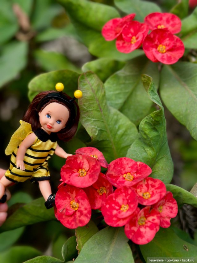 Маленький шмель 🐝 — Куклы Kelly (Келли): Сестра Барби