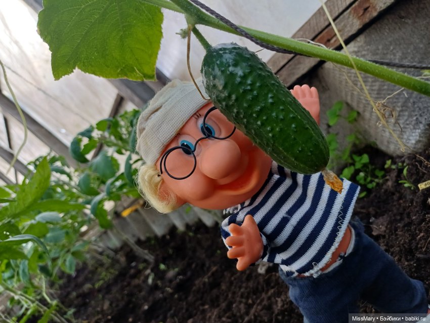 Дядя Увэ и первый огурец 🥒 (фото 7)