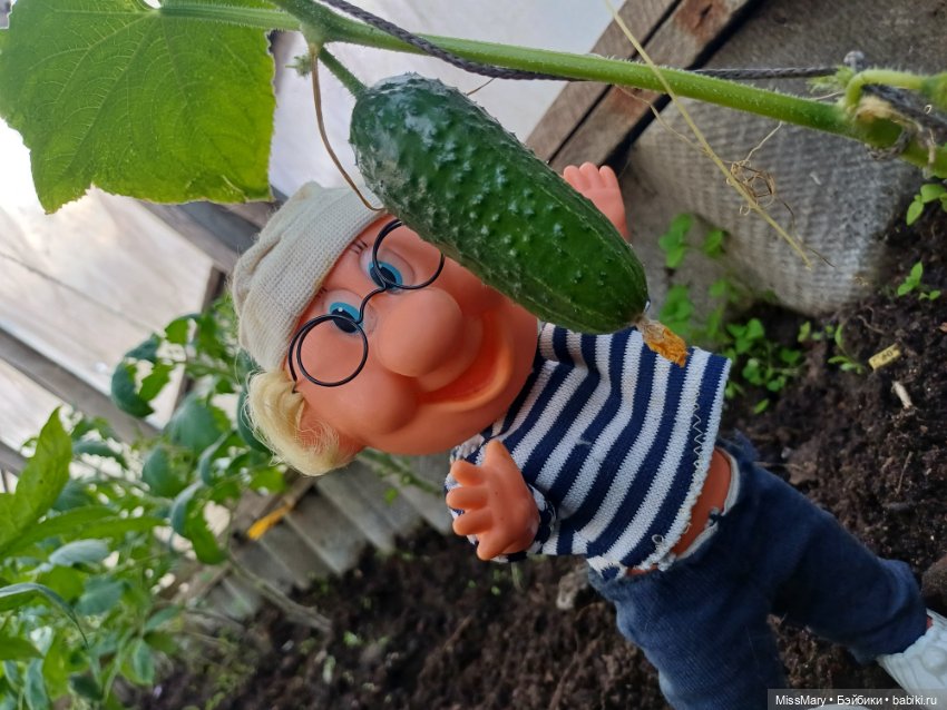 Дядя Увэ и первый огурец 🥒 (фото 6)