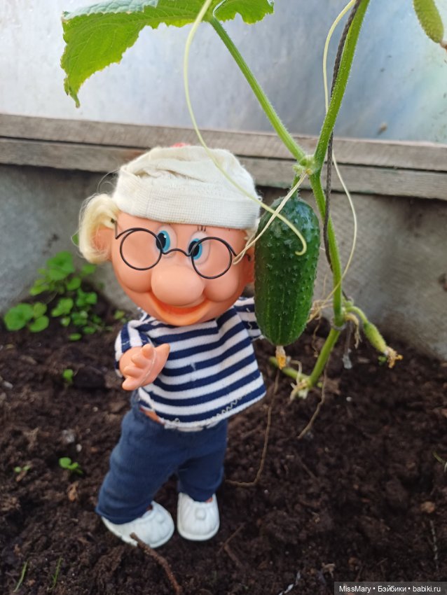 Дядя Увэ и первый огурец 🥒 (фото 3)