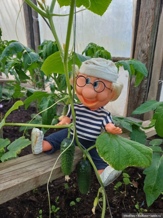 Дядя Увэ и первый огурец 🥒 (фото 10)