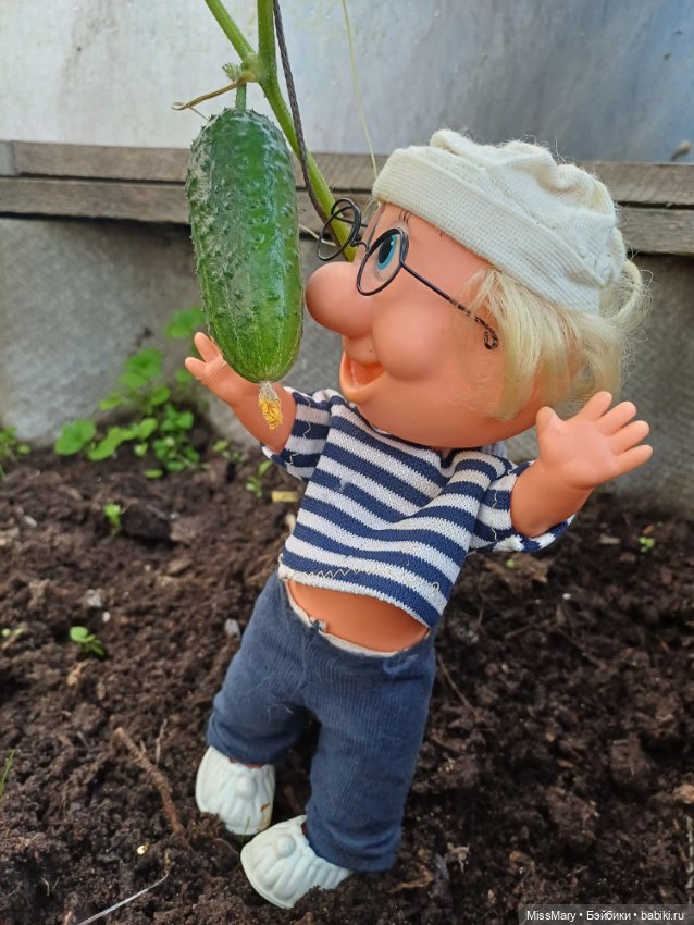 Дядя Увэ и первый огурец 🥒 (фото 2)