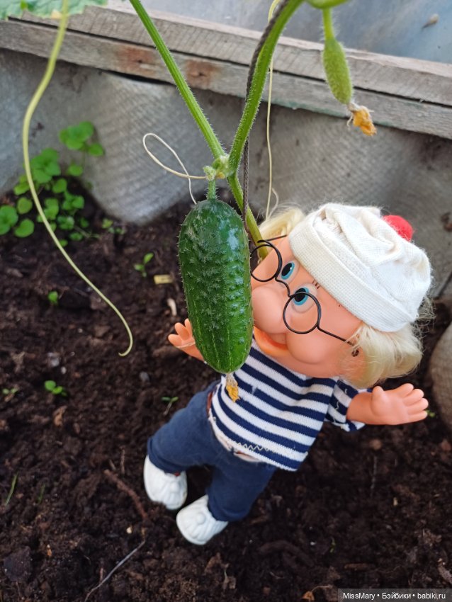 Дядя Увэ и первый огурец 🥒