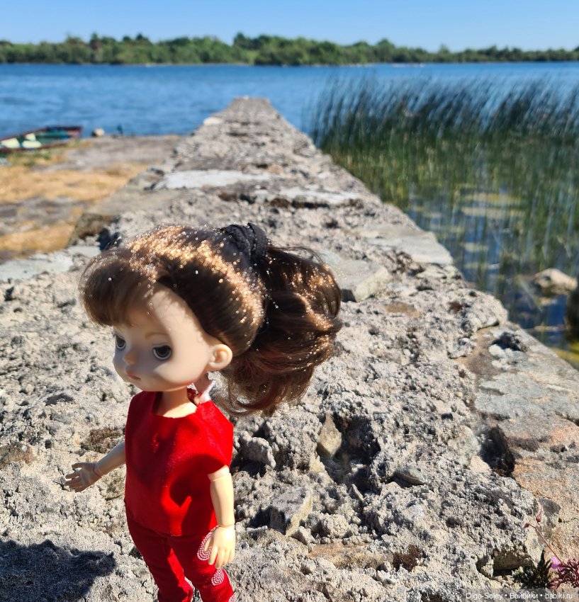 Если дома не сидится — Азиатские виниловые куклы (разное): Китай