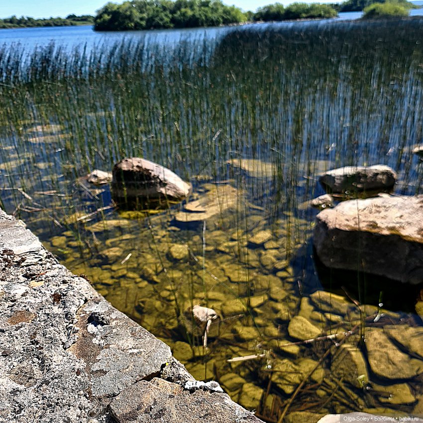 Если дома не сидится — Азиатские виниловые куклы (разное): Китай