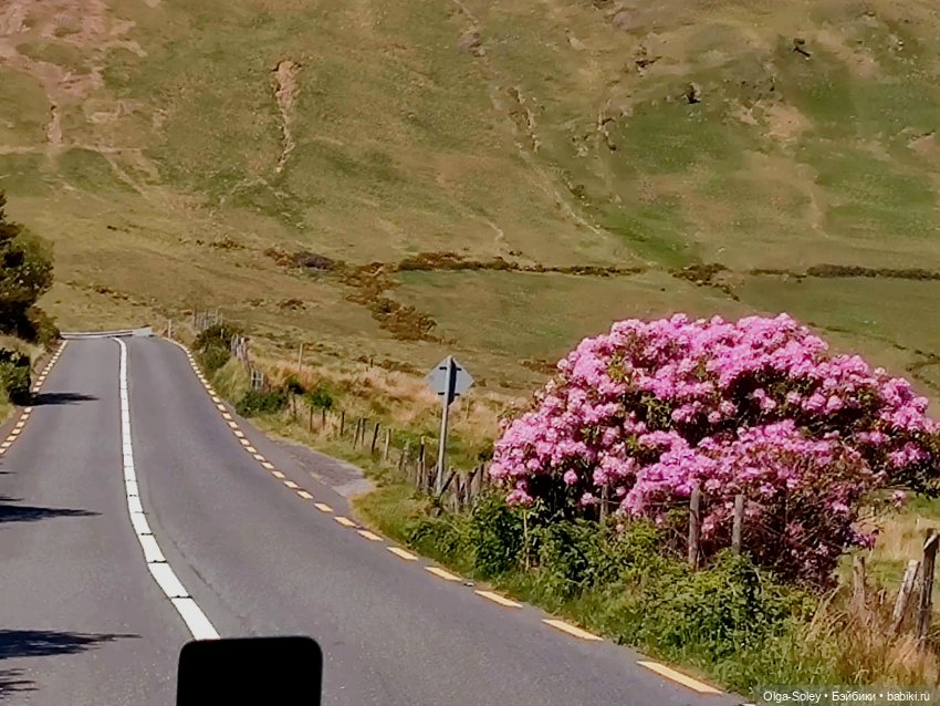 Если дома не сидится — Азиатские виниловые куклы (разное): Китай (фото 9)