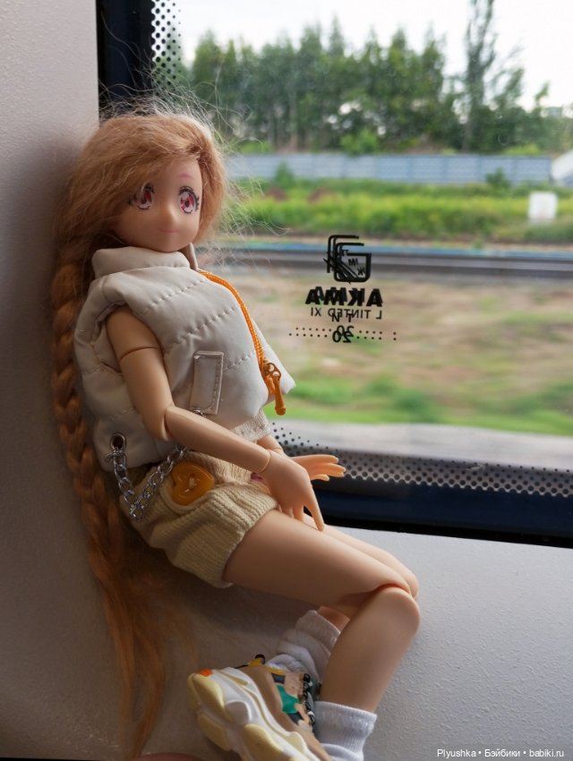 Прокатились на электричке (фото 3)