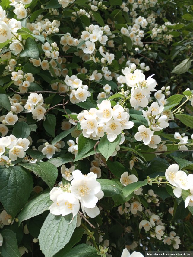 Прокатились на электричке