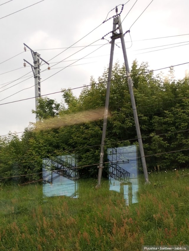 Прокатились на электричке (фото 4)