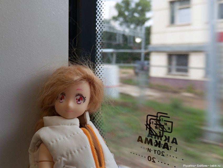 Прокатились на электричке (фото 5)