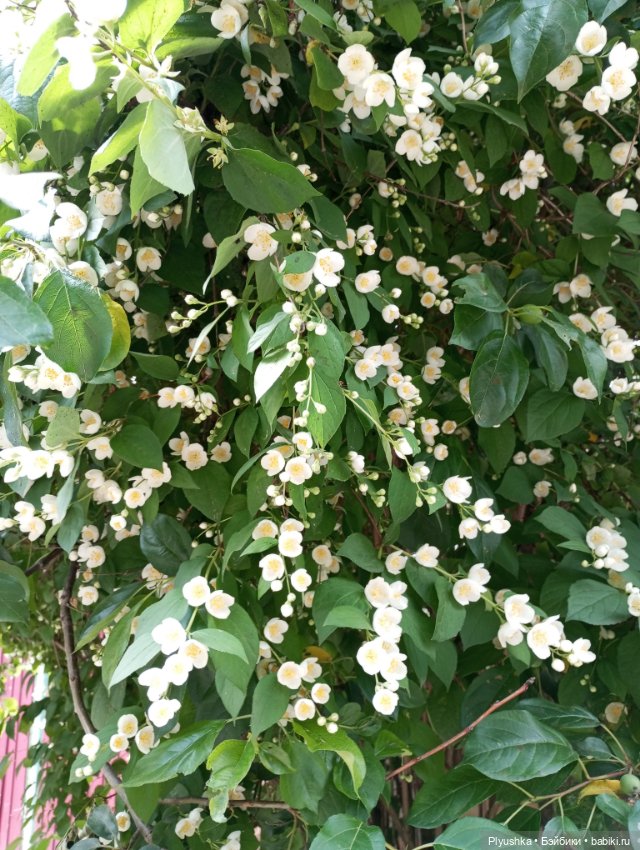 Прокатились на электричке