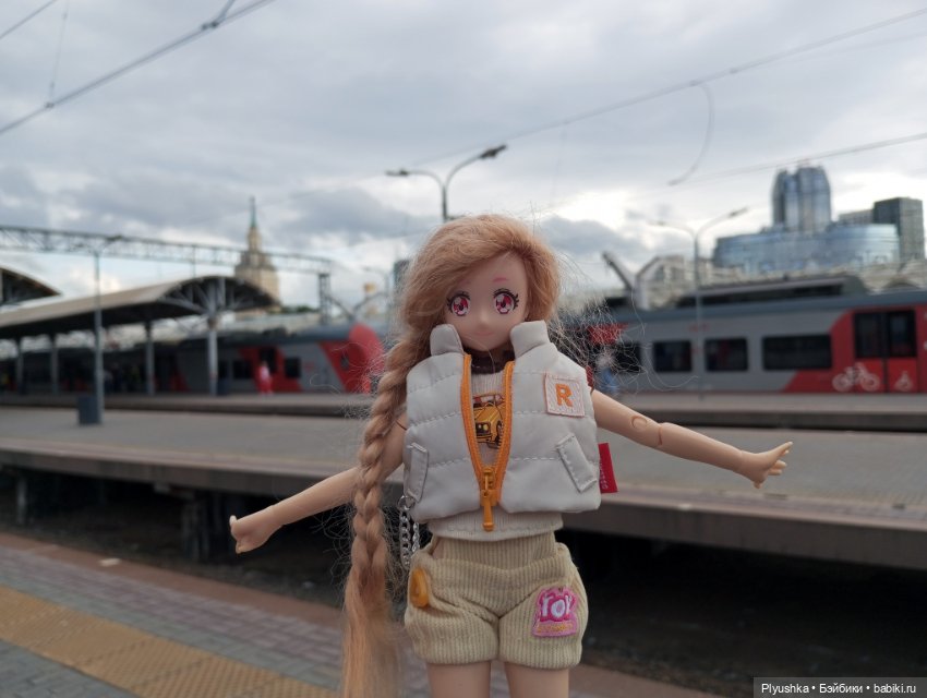 Прокатились на электричке (фото 8)