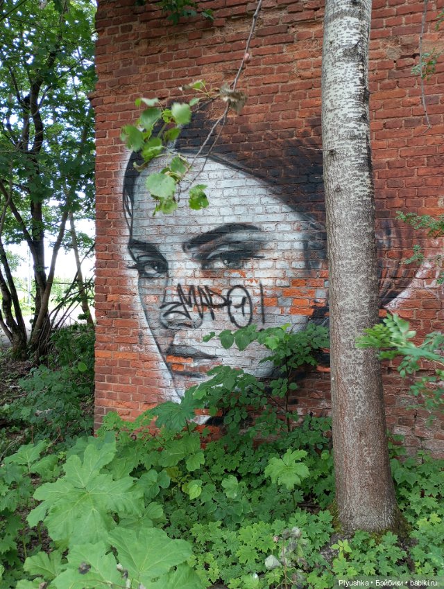 Вампир, который не в себе (фото 3)