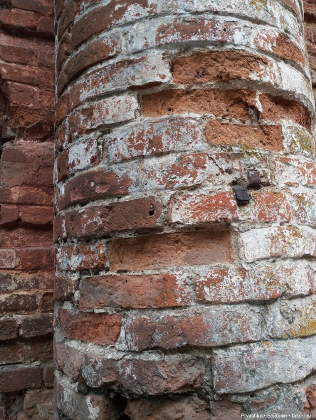 Вампир, который не в себе (фото 9)