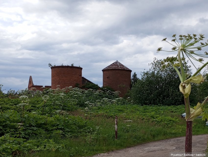 Вампир, который не в себе (фото 4)