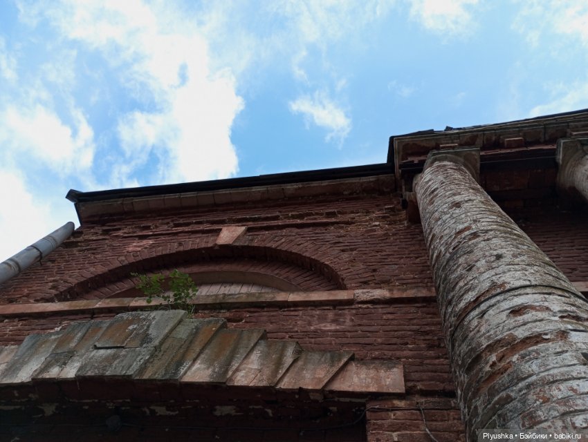 Вампир, который не в себе (фото 8)