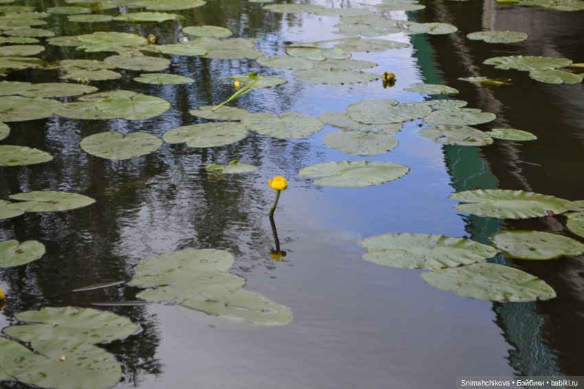 "Гляжу в озера синие..." — Куклы Tafidolls (Татьяна Филенко): российские BJD (БЖД) (фото 7)