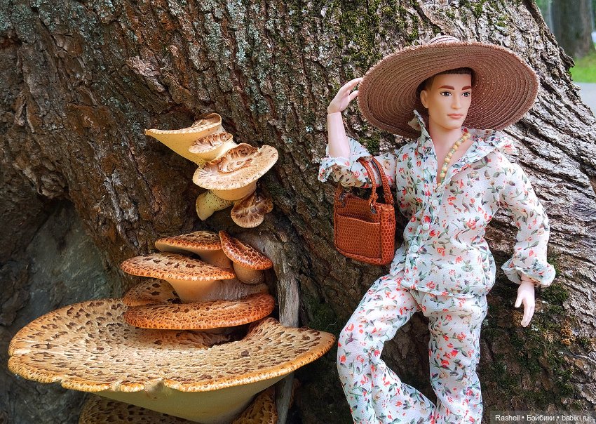 Рождение Леонарда — Куклы Barbie (Барби): Looks