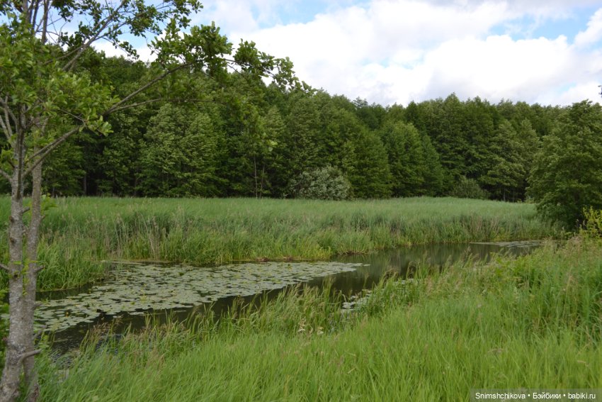 Счастье любить — Куклы Tafidolls (Татьяна Филенко): российские BJD (БЖД) (фото 6)