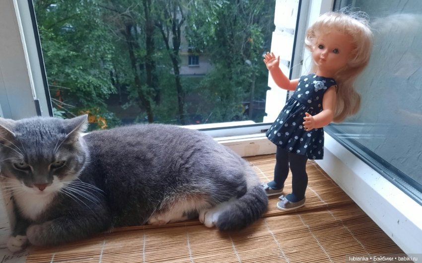 Просто ещё одна Беллочка🥰