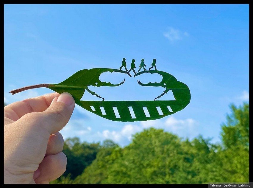 Работы из листьев lito_leafart (фото 3)