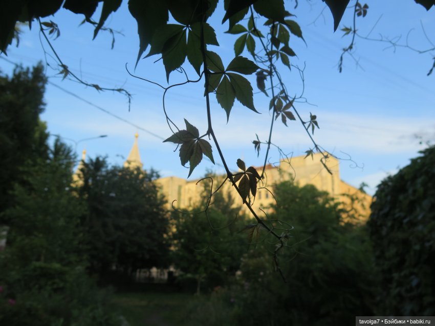 Blythe Street Snap+Sparkle Girlz - чудесный гибрид