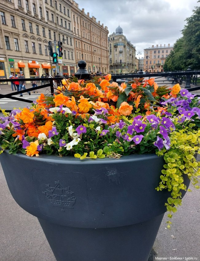 Луна на Садовой — Домашние фото авторских кукол: личные коллекции